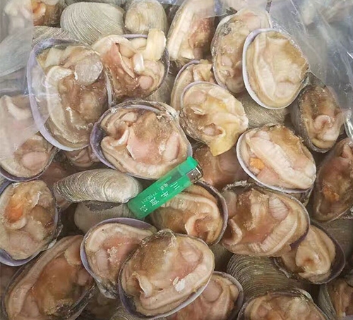 寬甸天鵝蛋