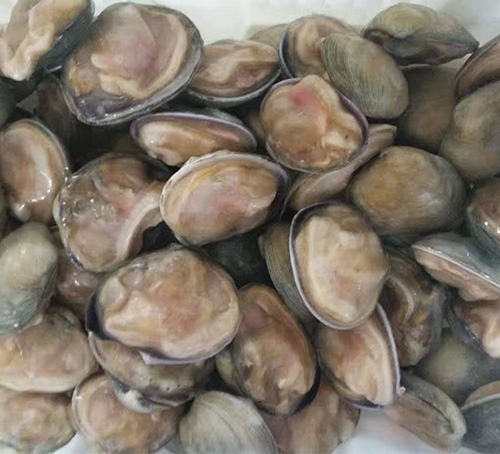 寬甸蒜蓉天鵝蛋