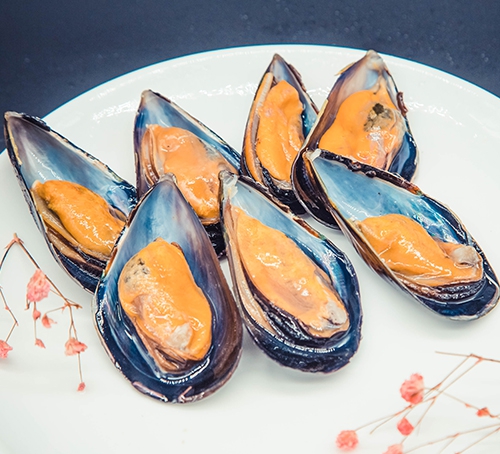 寬甸半殼海虹