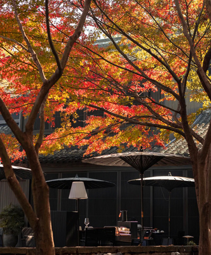 浙江杭州 ? 風(fēng)月東方 ? 法相 ? FROMHER